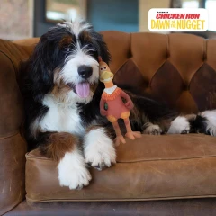 thumbnail-Happy Pet Chicken Run Rocky Latex Dog Toy