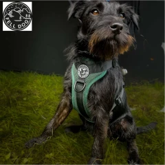 thumbnail-FELL DOG Helvellyn Forest Harness