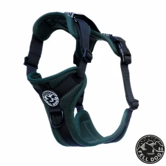 thumbnail-FELL DOG Helvellyn Forest Harness