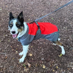 thumbnail-Henry Wag  Waterproof Dog Coat