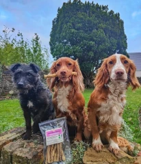 thumbnail-JR Pet Products Natural Twists