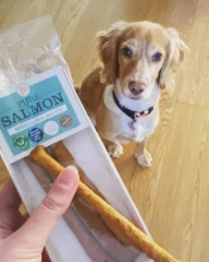 thumbnail-JR Pet Products Pure Salmon Sticks 50g