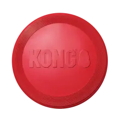 thumbnail-KONG Flyer