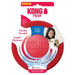 thumbnail-KONG Flyer