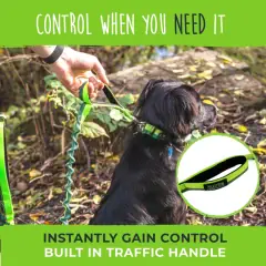 thumbnail-Mighty Paw Hands Free Bungee Leash 2.0