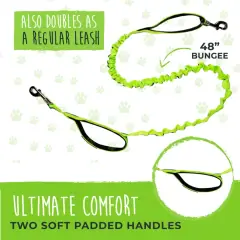 thumbnail-Mighty Paw Hands Free Bungee Leash 2.0