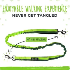 thumbnail-Mighty Paw Hands Free Bungee Leash 2.0