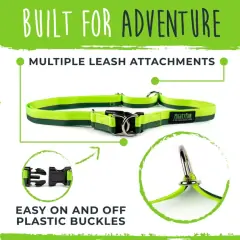 thumbnail-Mighty Paw Hands Free Bungee Leash 2.0