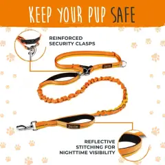 thumbnail-Mighty Paw Hands Free Bungee Leash 2.0