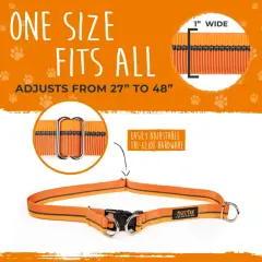 thumbnail-Mighty Paw Hands Free Bungee Leash 2.0