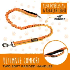 thumbnail-Mighty Paw Hands Free Bungee Leash 2.0