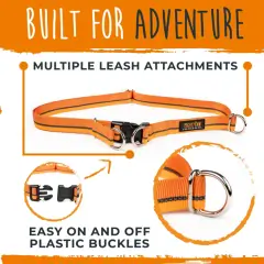 thumbnail-Mighty Paw Hands Free Bungee Leash 2.0