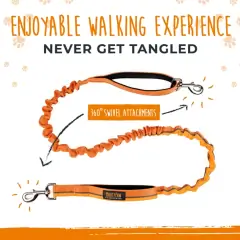 thumbnail-Mighty Paw Hands Free Bungee Leash 2.0