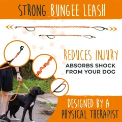 thumbnail-Mighty Paw Hands Free Bungee Leash 2.0