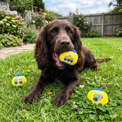 thumbnail-Minion Squeaky Tennis Balls 3pk