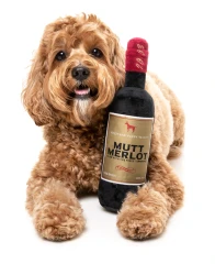 thumbnail-FuzzYard Mutt Merlot Dog Toy