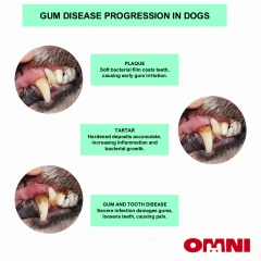 thumbnail-Omni Dental Stick 7 Pack