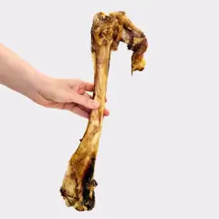 thumbnail-Venison (Deer) Bone 1 Piece