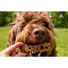 thumbnail-Petello Nobblys Peanut Butter Chew