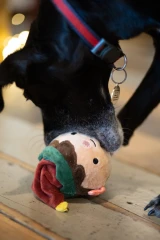 thumbnail-Petface Emily Elf Squeak Ball Plush Christmas Dog Toy