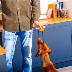 thumbnail-Christmas Gourmet Pate Pheasant and Partridge Pate 400g Limited Edition