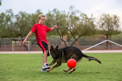 thumbnail-Jolly Pets Soccer Ball