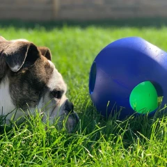 thumbnail-Jolly Pets Teaser Ball