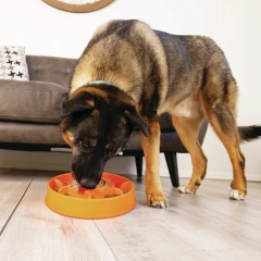 thumbnail-KONG Licks Mealtime Large