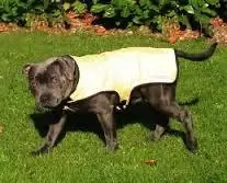 thumbnail-Prestige Pets Cool Dog Cooling Coat