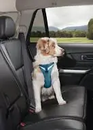 thumbnail-Kurgo Go-Tech Adventure Harness