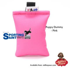 thumbnail-Sporting Saint Canvas Puppy Dummy