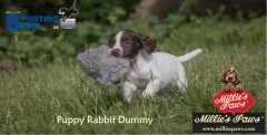 thumbnail-Sporting Saint Puppy Rabbit Dummy