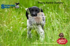 thumbnail-Sporting Saint Puppy Rabbit Dummy