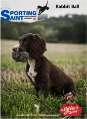 thumbnail-Sporting Saint Rabbit Ball
