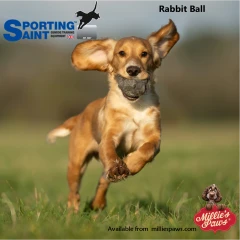 thumbnail-Sporting Saint Rabbit Ball