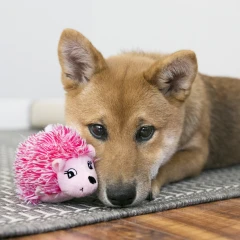 thumbnail-KONG Comfort HedgeHug Puppy