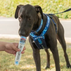 thumbnail-Marshfield Farm Scoops Puppuccino Pop Dog Ice Cream 110ml