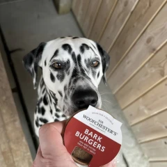 thumbnail-Sir Woofchester's Bark Burgers Treat Pot 49g