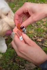 thumbnail-Sir Woofchester's Scampi Fries Dog Snack 32g