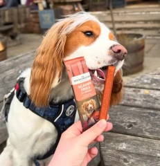 thumbnail-Sir Woofchester's Scampi Fries Dog Snack 32g