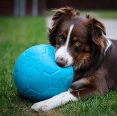 thumbnail-Jolly Pets Soccer Ball