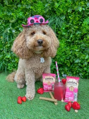 thumbnail-Soopa Strawberry Dog Quiri Dental Sticks