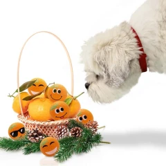 thumbnail-Sportspet High Bounce Dimple Scented Mandarins 6 pack