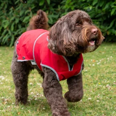 thumbnail-Ancol Muddy Paws Stormguard Soft Shell Dog Coat