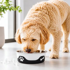 thumbnail-ThermaCool Dog Bowl in Espresso
