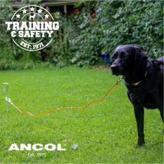 thumbnail-Ancol Heavy Duty Tie Out Stake
