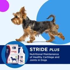 thumbnail-TRM Stride Plus Liquid