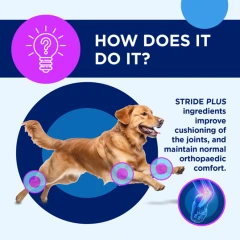 thumbnail-TRM Stride Plus Liquid