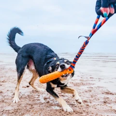 thumbnail-Tug E Nuff BOB The 3 in 1 Dog Dummy