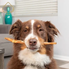 thumbnail-Millie's Munchies Venison Leg Tendons 3 pack